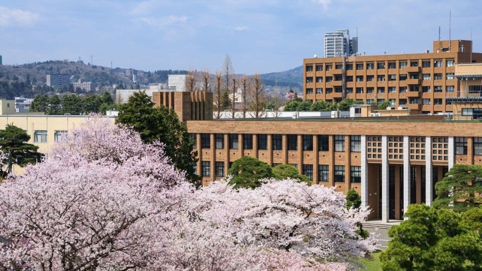 Tohoku University